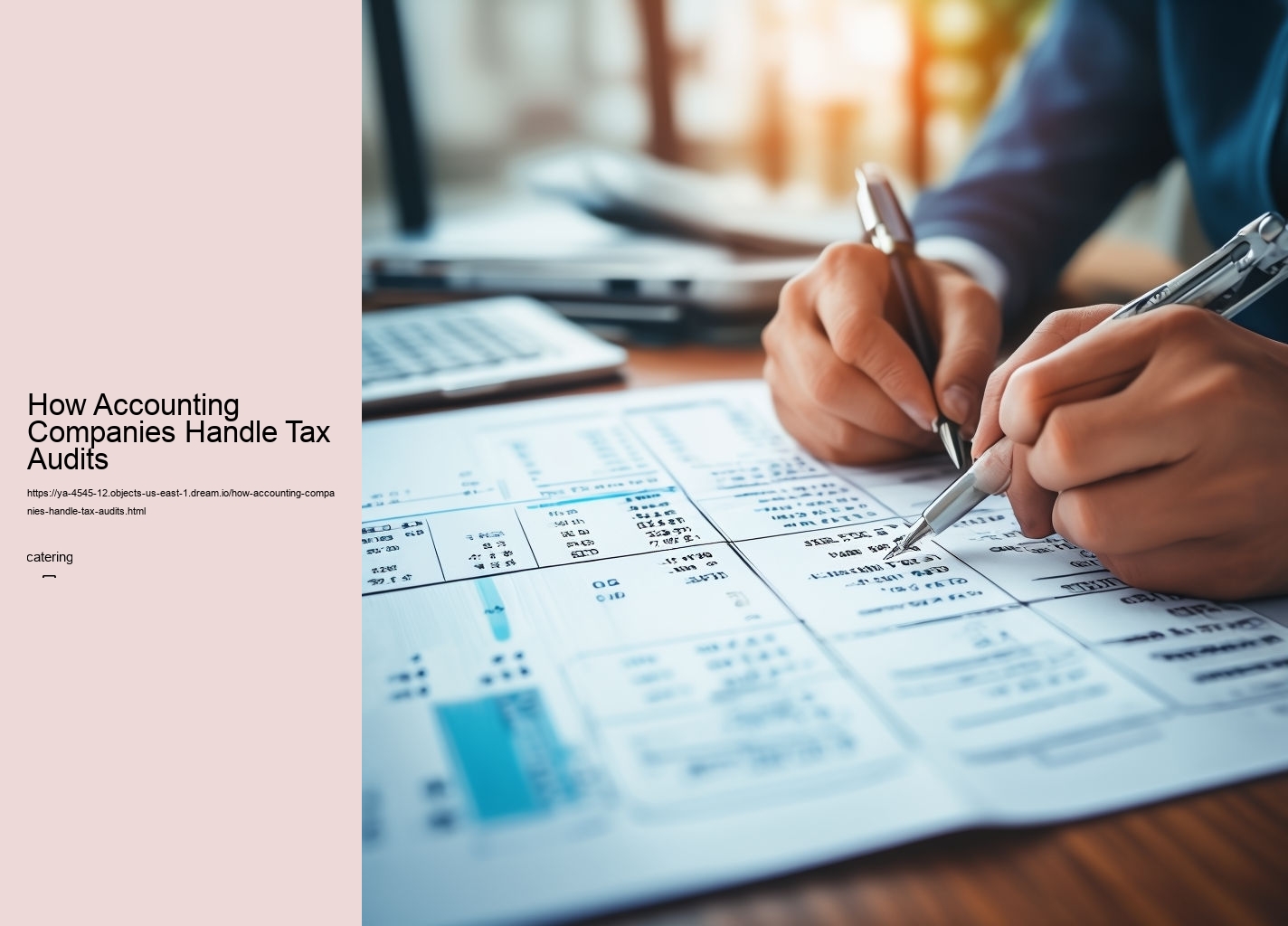 How Accounting Companies Handle Tax Audits