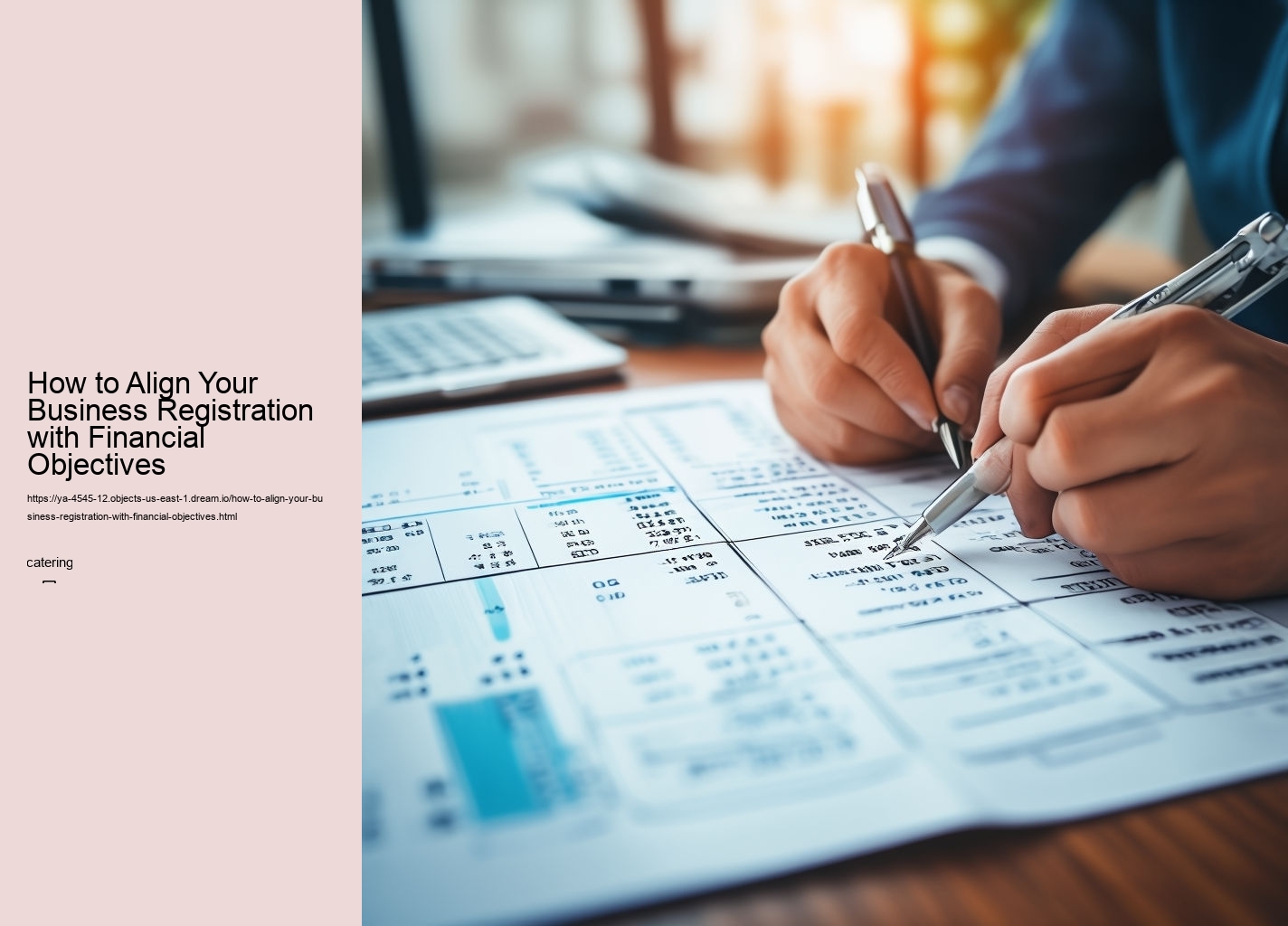 How to Align Your Business Registration with Financial Objectives